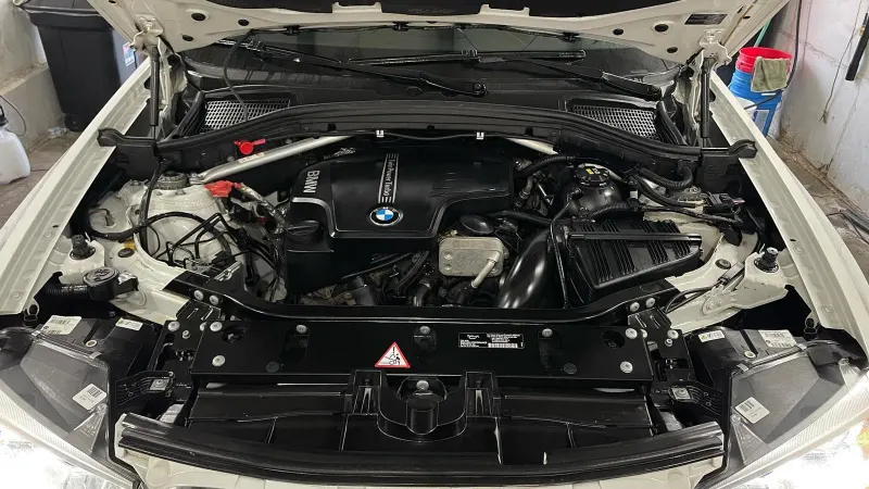 Engine bay after steam degreasing and satin dressing at Northside Auto Spa